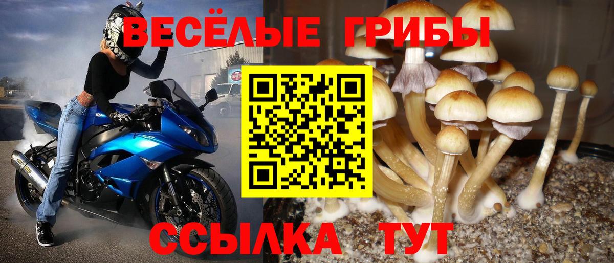 Псилоцибиновые грибы прущие грибы Зеленодольск